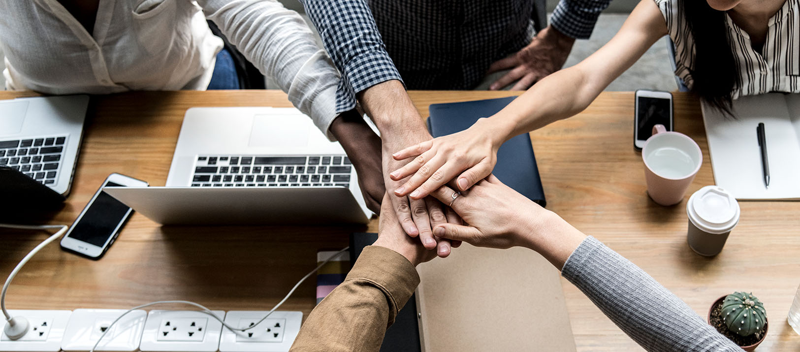 <strong>Cinco habilidades más valoradas de los colaboradores</strong>